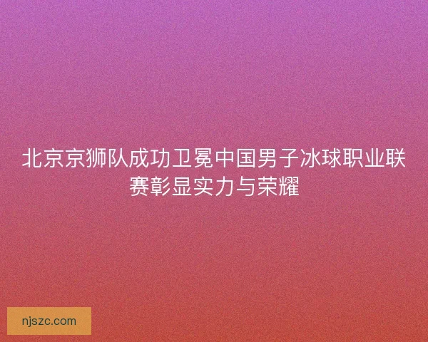 北京京狮队成功卫冕中国男子冰球职业联赛彰显实力与荣耀
